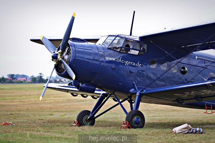 XIX Europejskie Spotkanie AN-2 Mielec 2017 - piknik na lotnisku