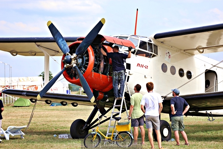 XIX Europejskie Spotkanie AN-2 Mielec 2017 - piknik na lotnisku