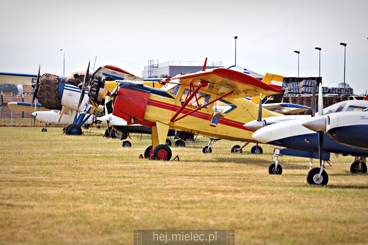 XIX Europejskie Spotkanie AN-2 Mielec 2017 - piknik na lotnisku