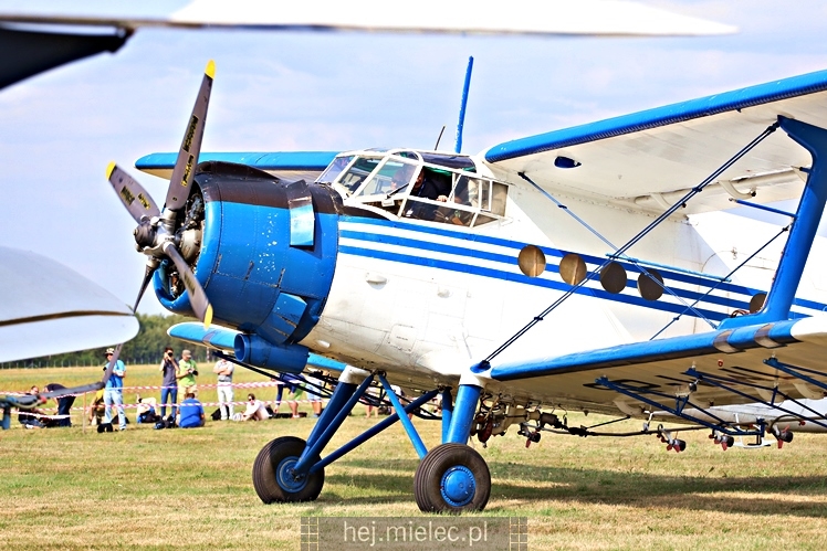 XIX Europejskie Spotkanie AN-2 Mielec 2017 - piknik na lotnisku