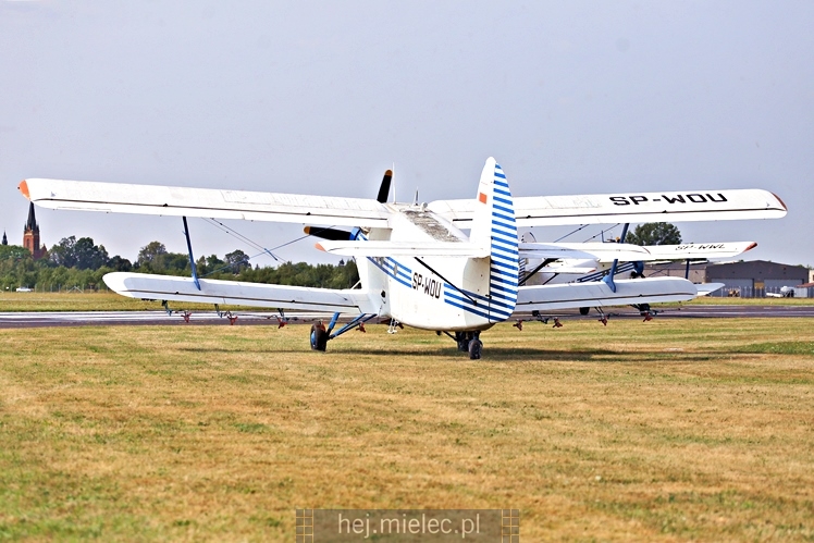 XIX Europejskie Spotkanie AN-2 Mielec 2017 - piknik na lotnisku