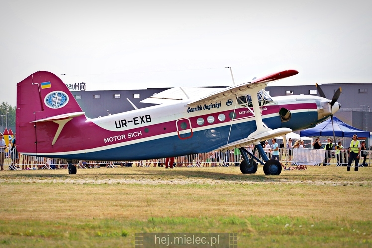 XIX Europejskie Spotkanie AN-2 Mielec 2017 - piknik na lotnisku
