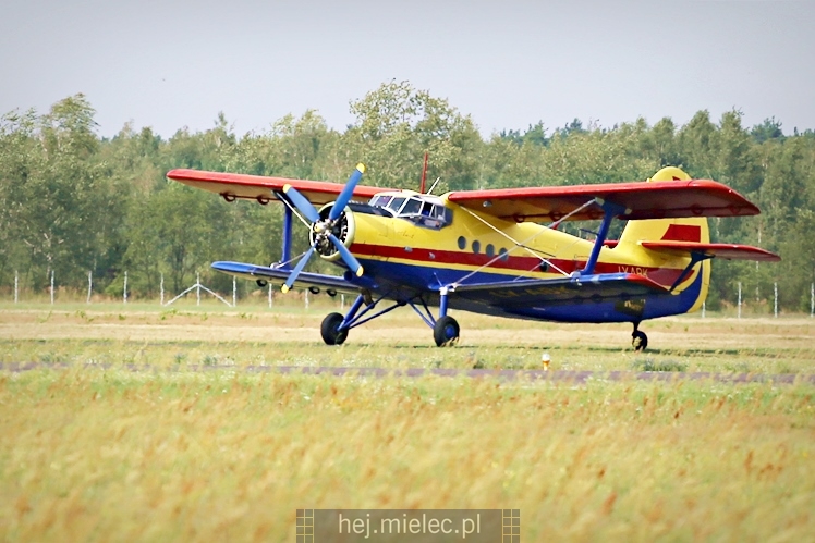 XIX Europejskie Spotkanie AN-2 Mielec 2017 - piknik na lotnisku
