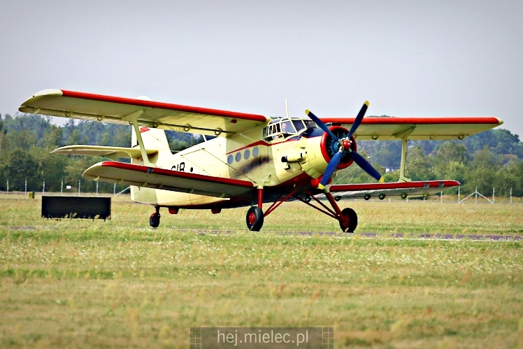 XIX Europejskie Spotkanie AN-2 Mielec 2017 - piknik na lotnisku