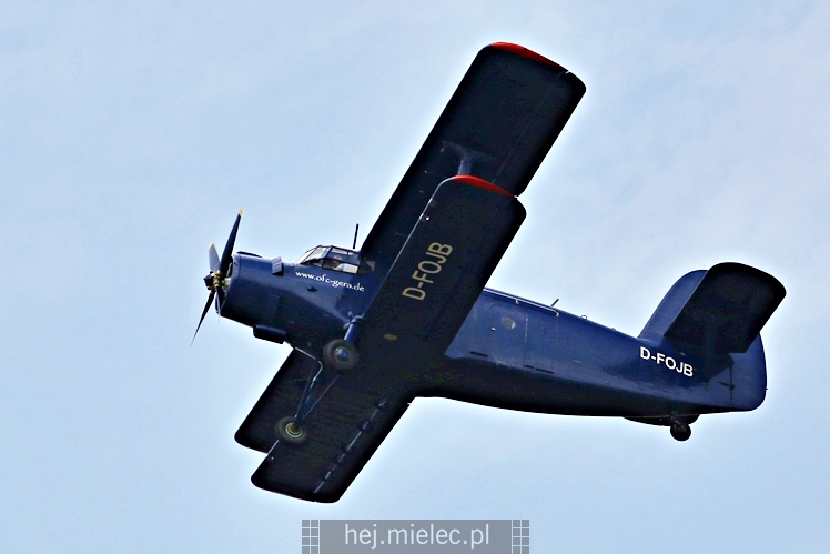 XIX Europejskie Spotkanie AN-2 Mielec 2017 - piknik na lotnisku