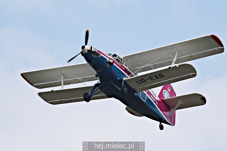 XIX Europejskie Spotkanie AN-2 Mielec 2017 - piknik na lotnisku