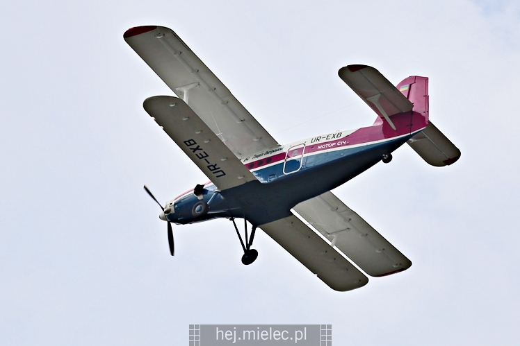 XIX Europejskie Spotkanie AN-2 Mielec 2017 - piknik na lotnisku