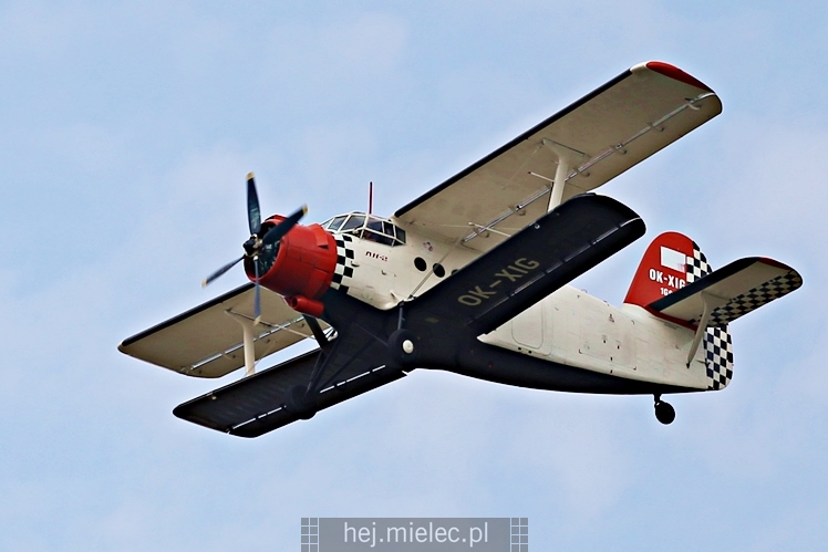 XIX Europejskie Spotkanie AN-2 Mielec 2017 - piknik na lotnisku
