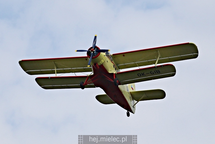 XIX Europejskie Spotkanie AN-2 Mielec 2017 - piknik na lotnisku