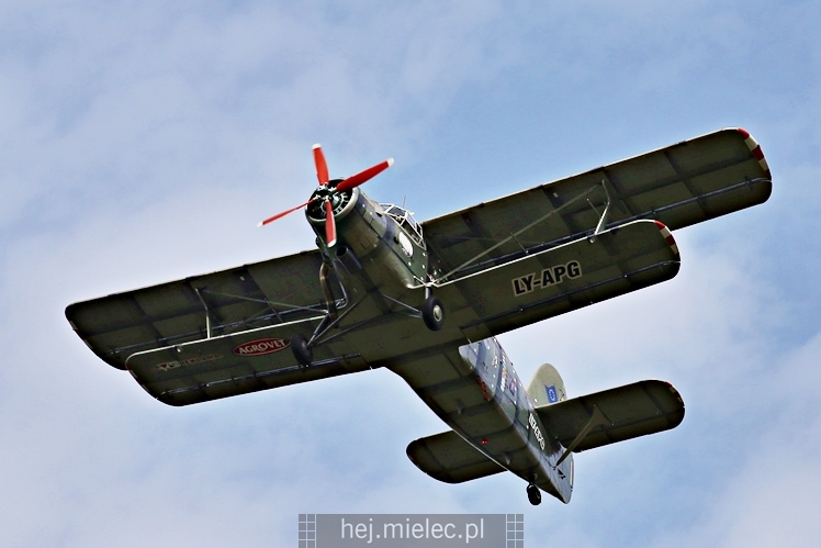 XIX Europejskie Spotkanie AN-2 Mielec 2017 - piknik na lotnisku