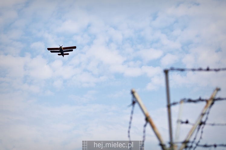 XIX Europejskie Spotkanie AN-2 Mielec 2017 - piknik na lotnisku