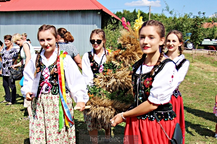 Dożynki gminy Padew Narodowa w miejscowości Pierzchne