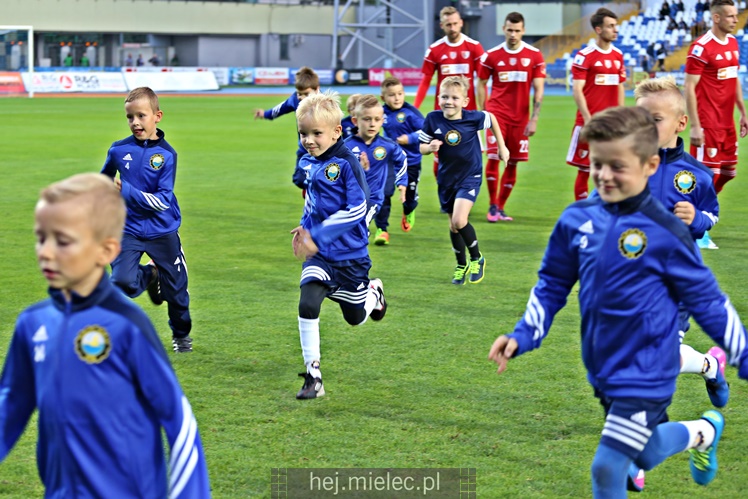 Nice 1 liga:  FKS STAL MIELEC - POGOŃ SIEDLCE