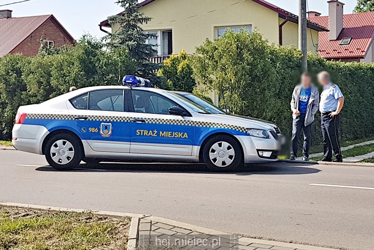 Kolizja z udziałem pojazdu straży miejskiej