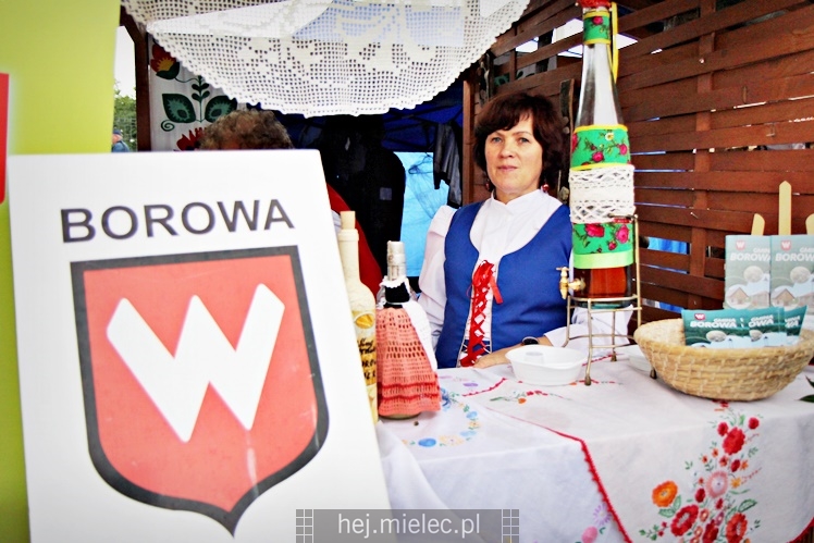 Dożynki Powiatu Mieleckiego 2017