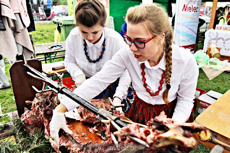 Dożynki Powiatu Mieleckiego 2017