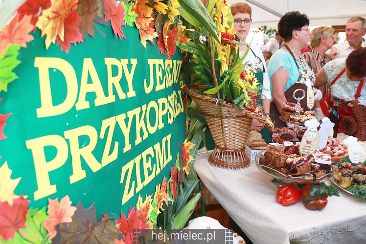 Święto Ziemniaka w Padwi Narodowej