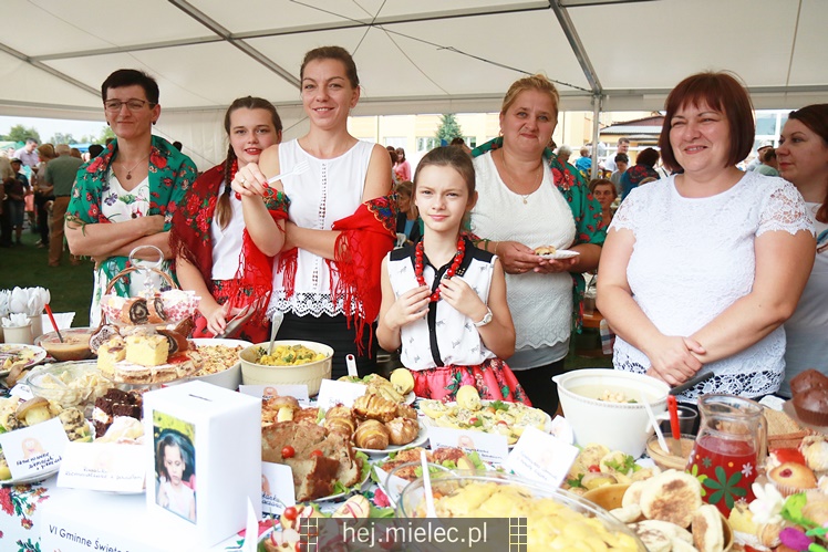 Święto Ziemniaka w Padwi Narodowej