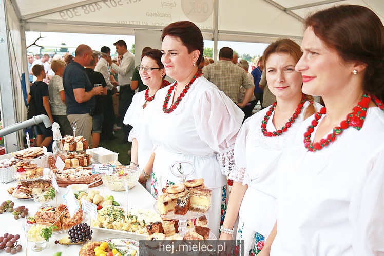 Święto Ziemniaka w Padwi Narodowej
