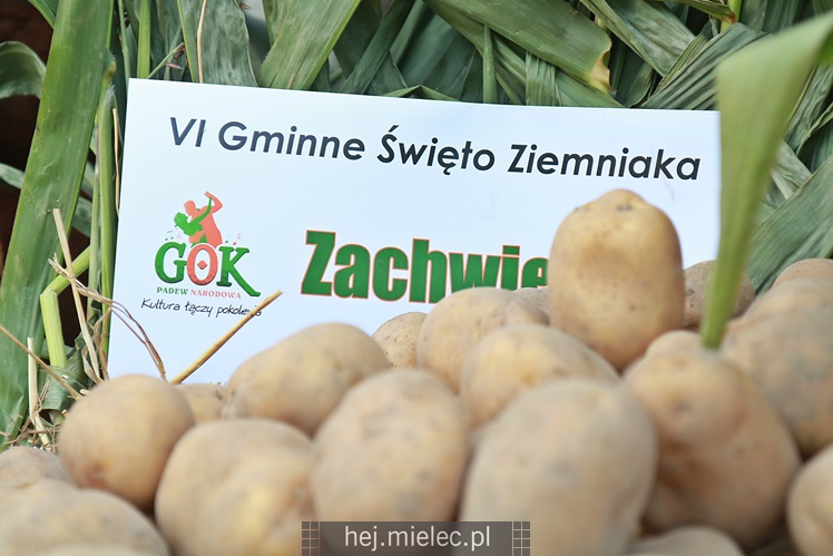 Święto Ziemniaka w Padwi Narodowej