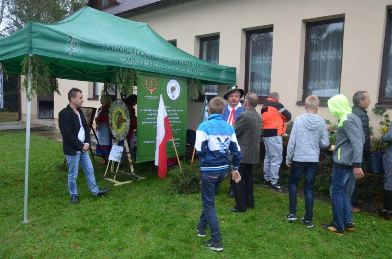 Święto rydza w Rydzowie