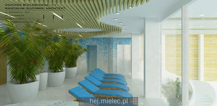 Wizualizacja nowej hali sportowej MOSiR Mielec