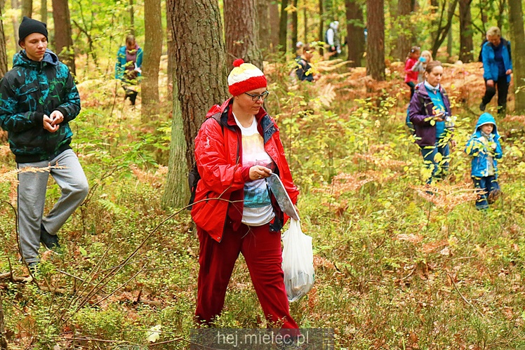 V Mielecki Zielony Punkt Kontrolny