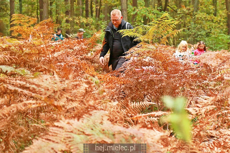 V Mielecki Zielony Punkt Kontrolny