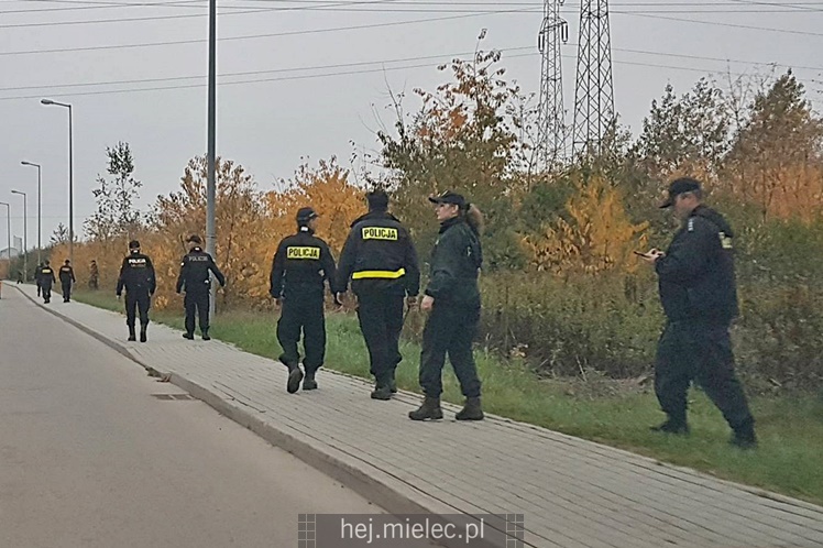 Poszukiwania zaginionej mielczanki