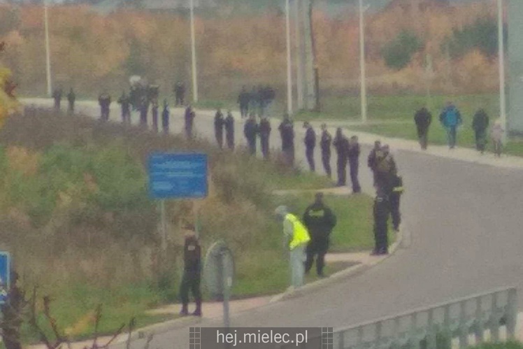 Poszukiwania zaginionej mielczanki