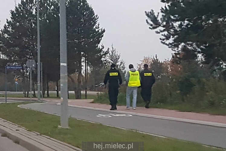 Poszukiwania zaginionej mielczanki