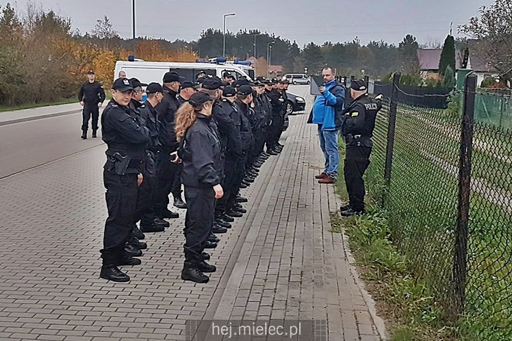 Poszukiwania zaginionej mielczanki
