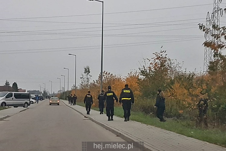 Poszukiwania zaginionej mielczanki