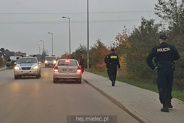 Poszukiwania zaginionej mielczanki
