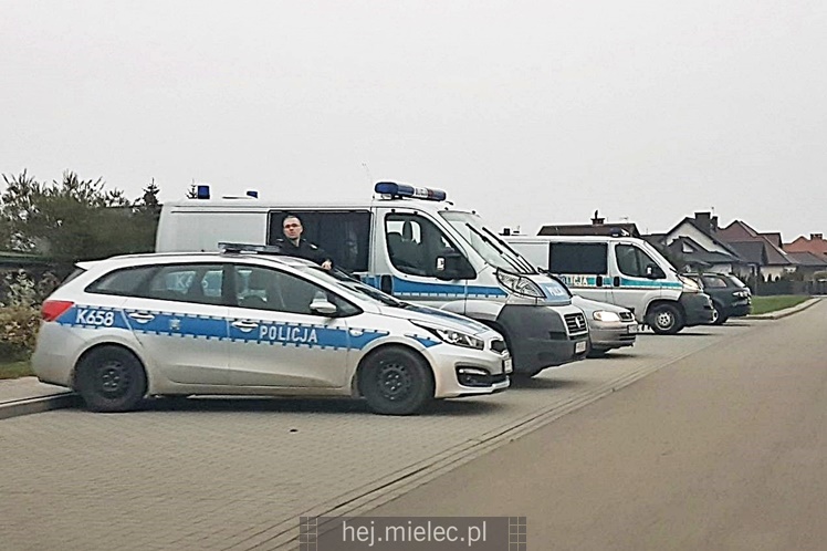 Poszukiwania zaginionej mielczanki