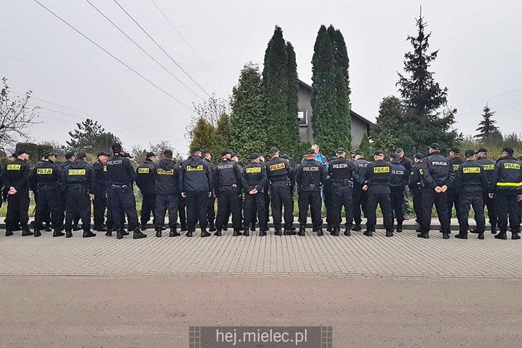 Poszukiwania zaginionej mielczanki