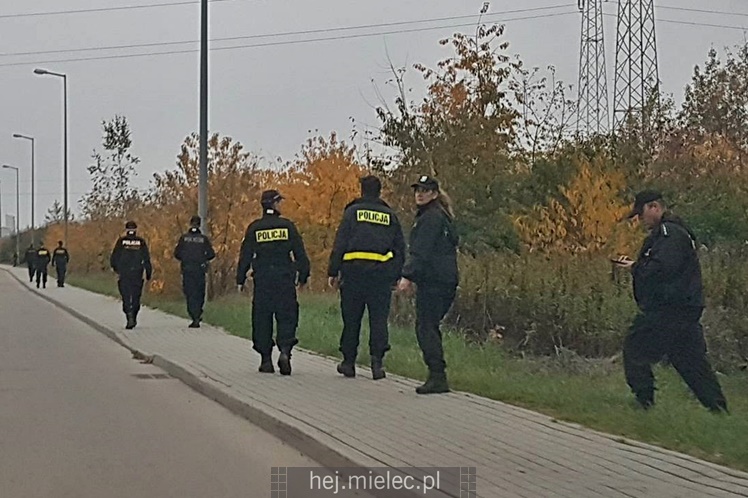Poszukiwania zaginionej mielczanki