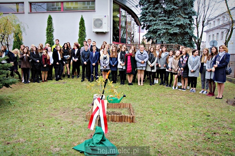 Uroczystość zasadzenia Dębu Niepodległości