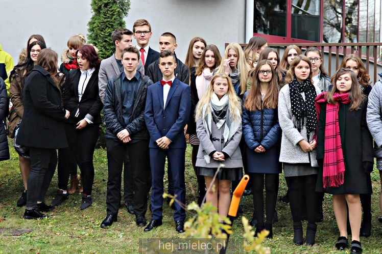 Uroczystość zasadzenia Dębu Niepodległości