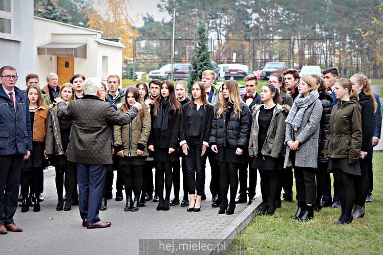 Uroczystość zasadzenia Dębu Niepodległości