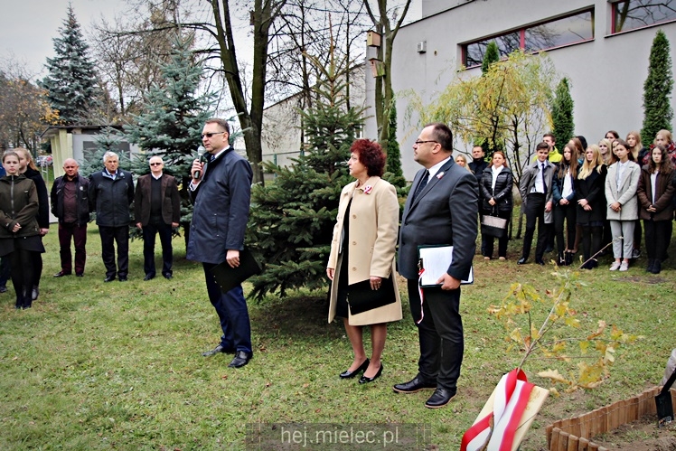 Uroczystość zasadzenia Dębu Niepodległości
