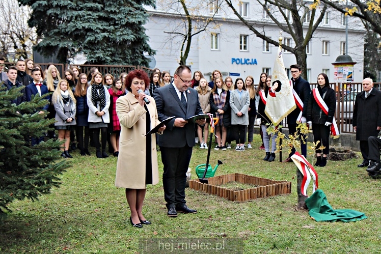 Uroczystość zasadzenia Dębu Niepodległości