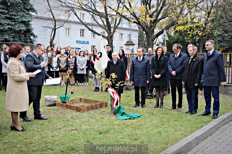Uroczystość zasadzenia Dębu Niepodległości
