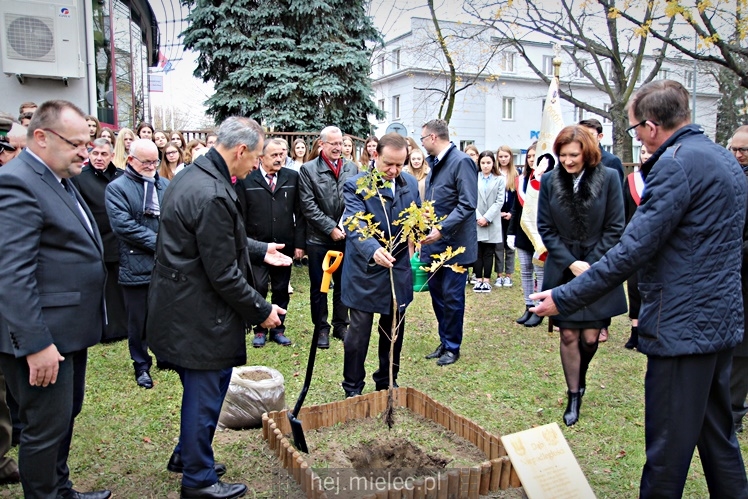 Uroczystość zasadzenia Dębu Niepodległości