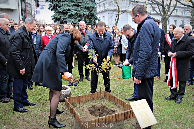 Uroczystość zasadzenia Dębu Niepodległości
