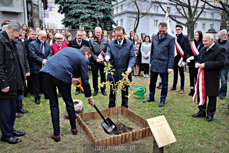 Uroczystość zasadzenia Dębu Niepodległości
