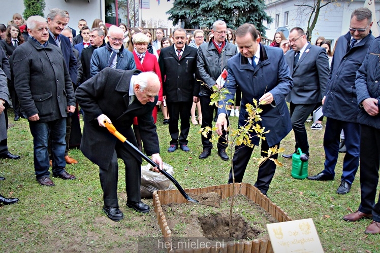 Uroczystość zasadzenia Dębu Niepodległości