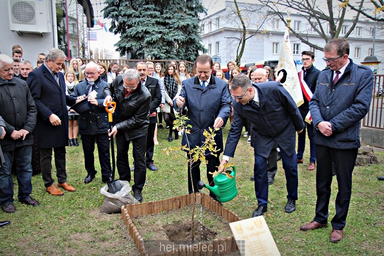 Uroczystość zasadzenia Dębu Niepodległości