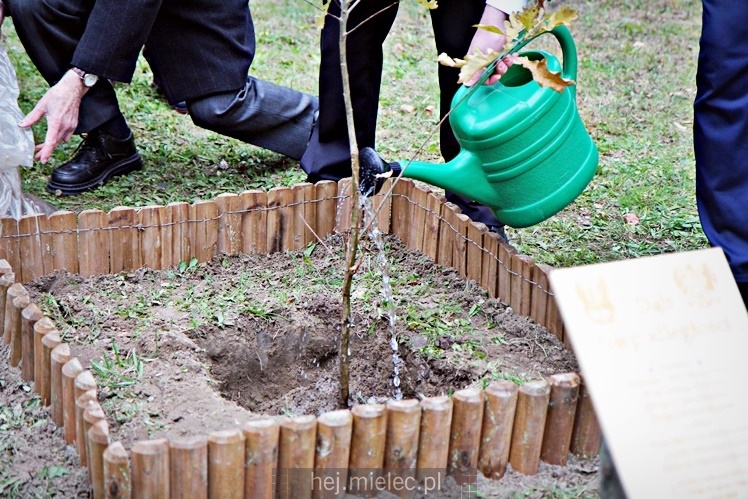 Uroczystość zasadzenia Dębu Niepodległości
