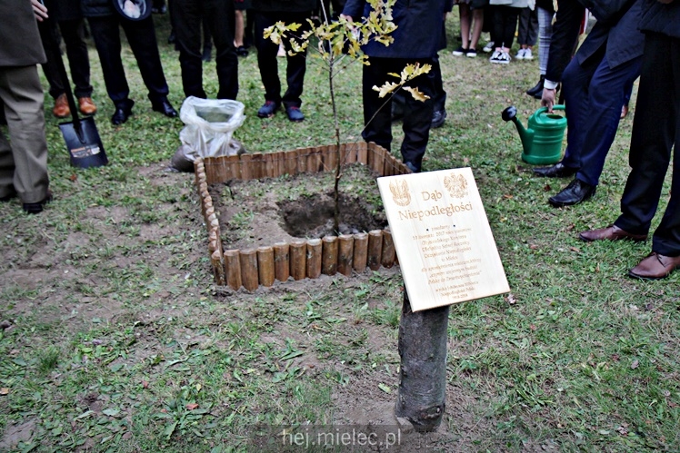 Uroczystość zasadzenia Dębu Niepodległości
